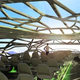 Illustration for article titled Awesome Concept Art for a Transparent Airplane, Coming in 2050